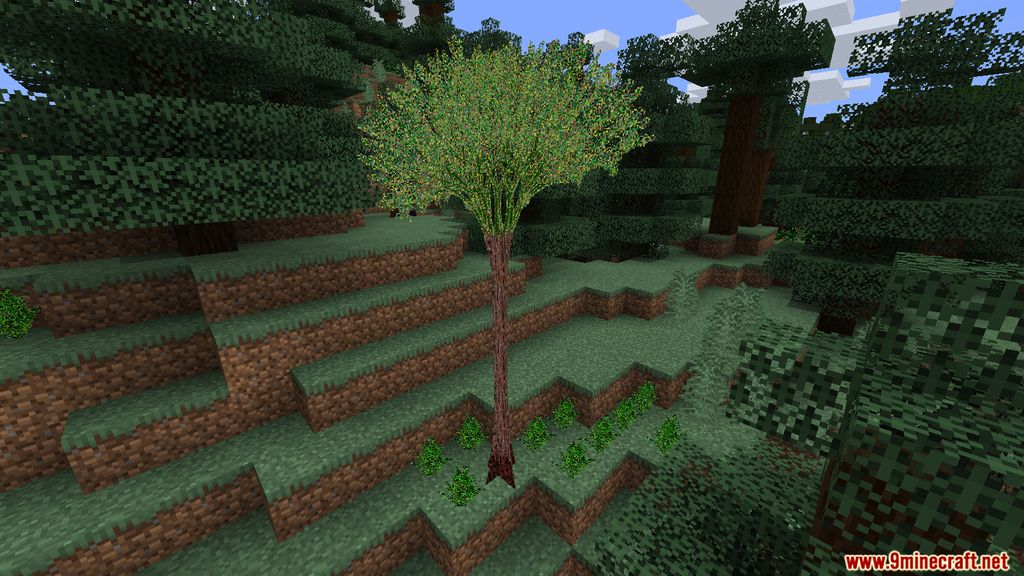 More Plants Mod 1.15.2 (Ecosystem Improved) 3