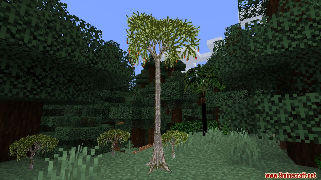 More Plants Mod 1.15.2 (Ecosystem Improved) 5