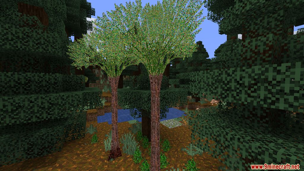 More Plants Mod 1.15.2 (Ecosystem Improved) 6