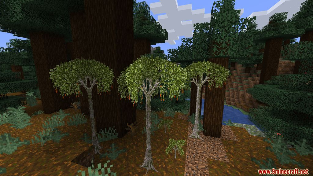 More Plants Mod 1.15.2 (Ecosystem Improved) 8