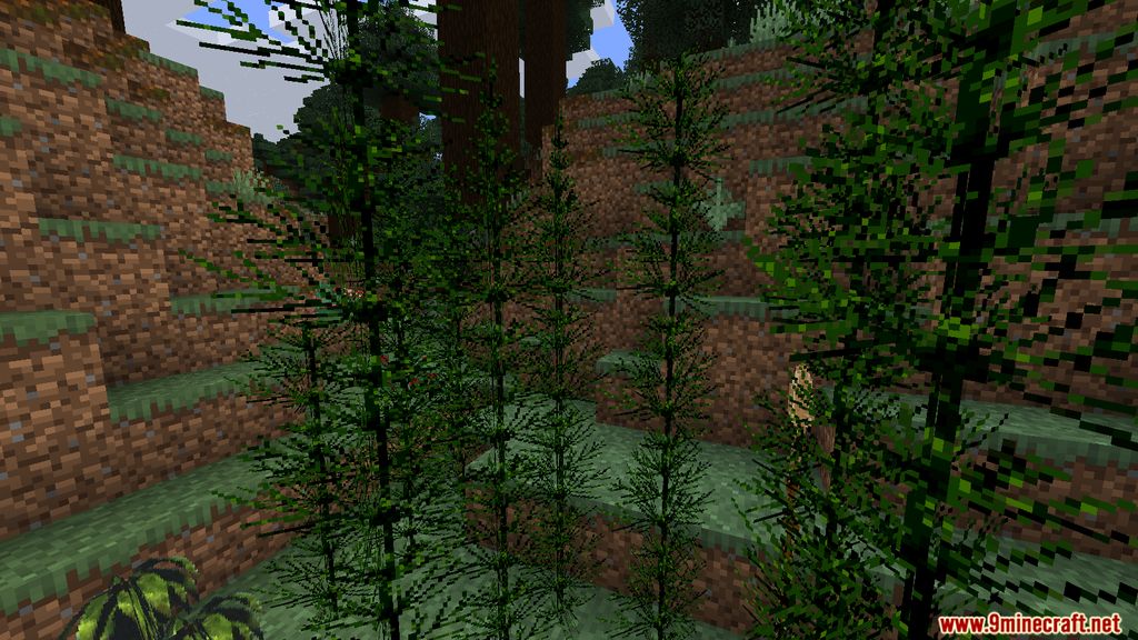 More Plants Mod 1.15.2 (Ecosystem Improved) 9