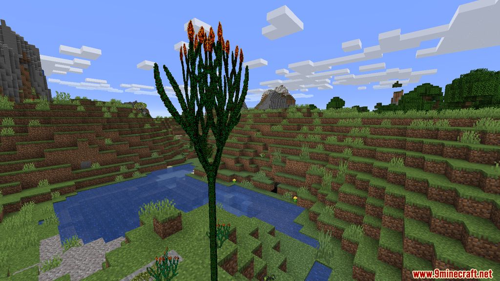 More Plants Mod 1.15.2 (Ecosystem Improved) 10