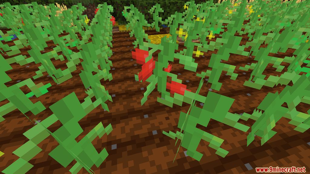 Tomato Mod 1.15.2 (Tomato, Tomatoes?, New Fruit) 7