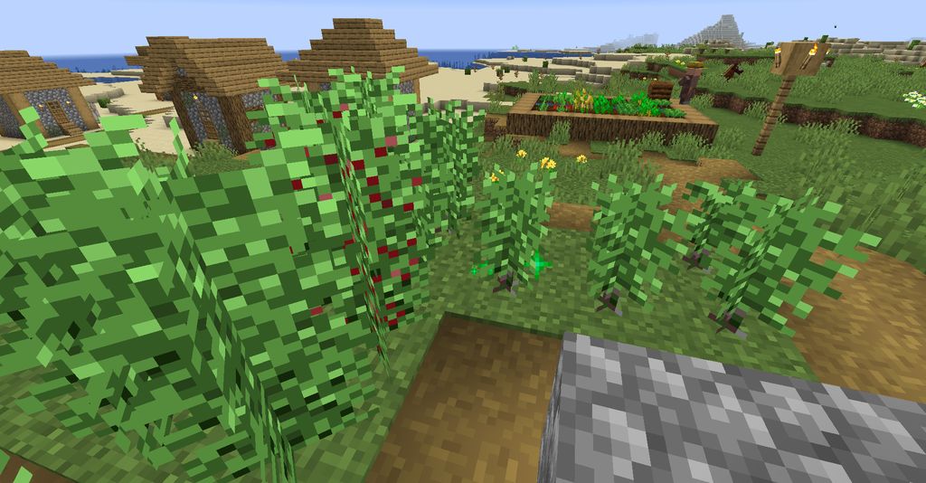 Coffee Mod 1.16.3 (Coffee Plants, Variation of Coffees) 7