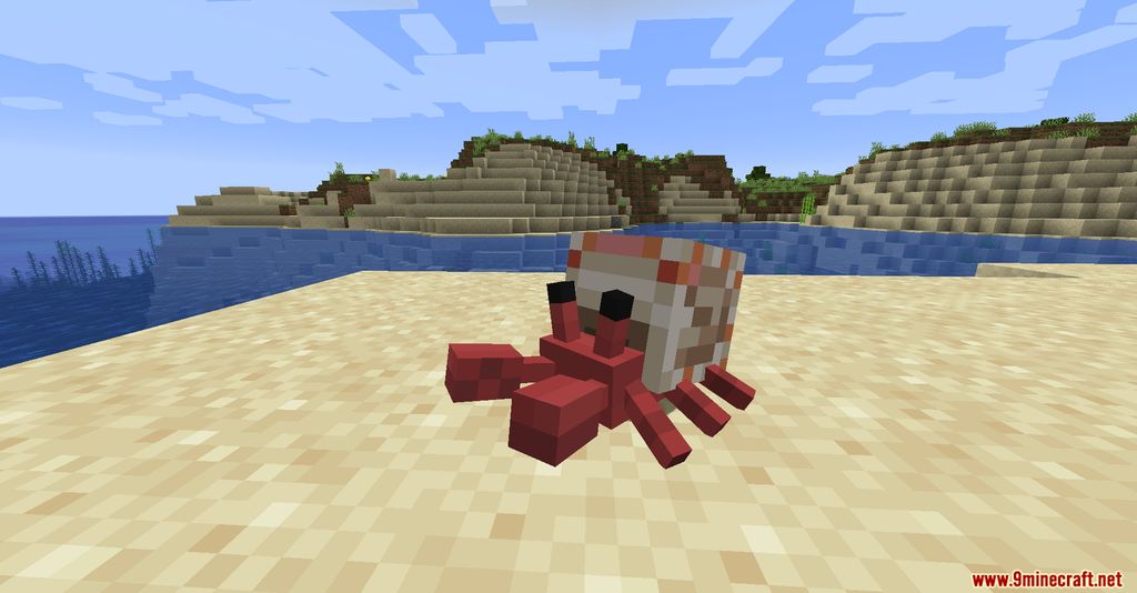 Cute Hermit Crabs Mod (1.19.2, 1.18.2) - Marine Crustacean 2