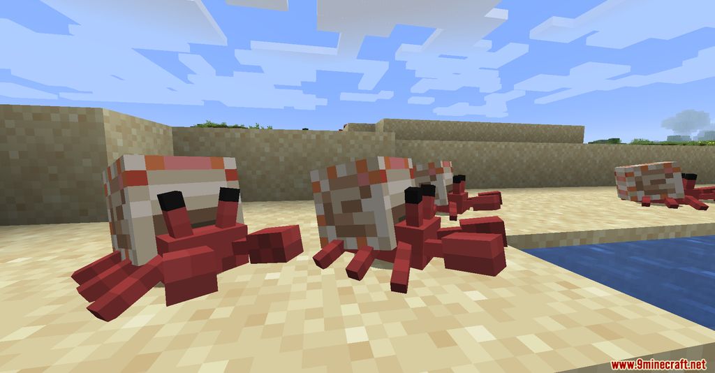 Cute Hermit Crabs Mod (1.19.2, 1.18.2) - Marine Crustacean 3