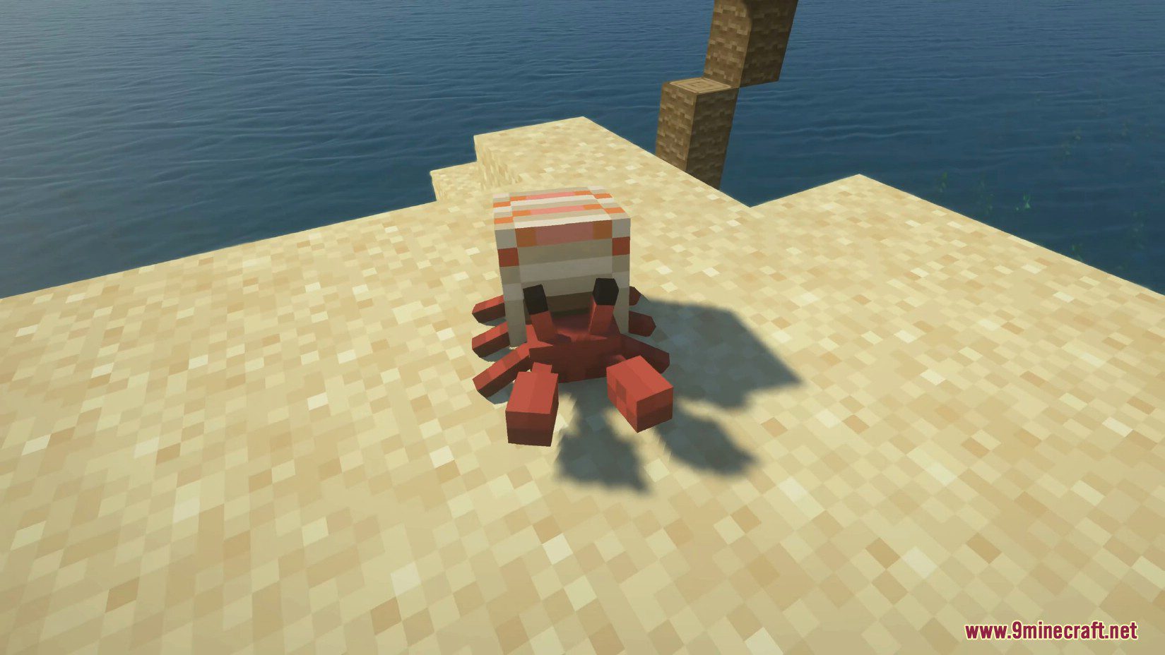 Cute Hermit Crabs Mod (1.19.2, 1.18.2) - Marine Crustacean 13