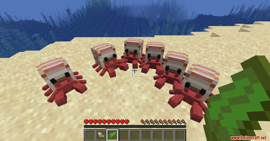 Cute Hermit Crabs Mod (1.19.2, 1.18.2) - Marine Crustacean 4