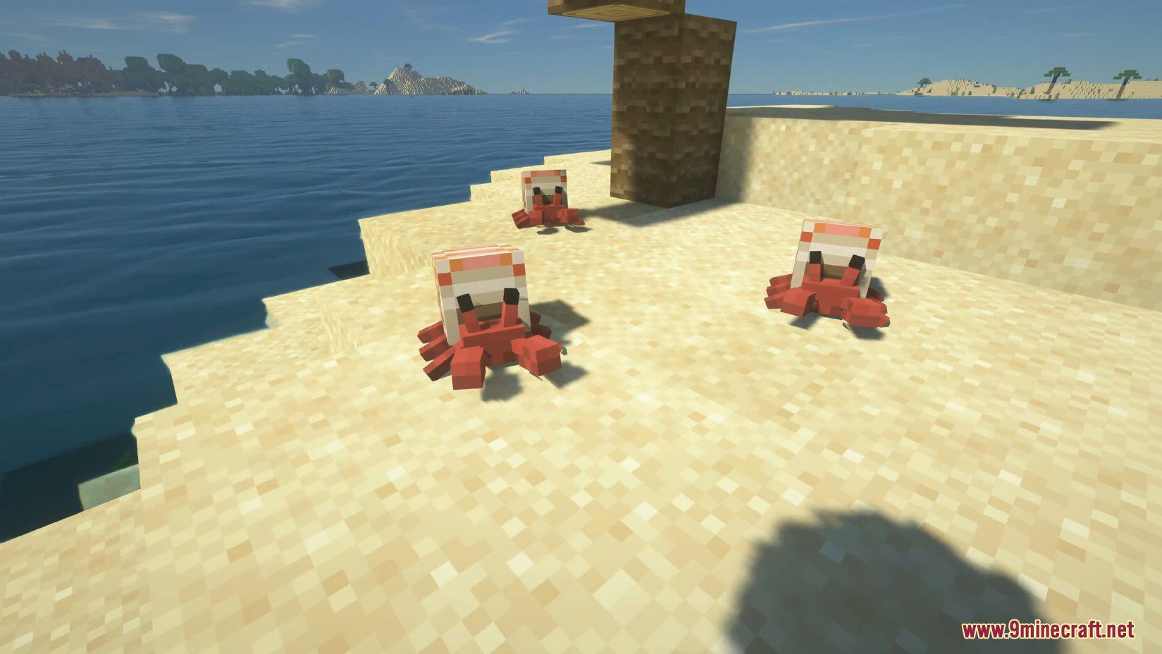 Cute Hermit Crabs Mod (1.19.2, 1.18.2) - Marine Crustacean 14