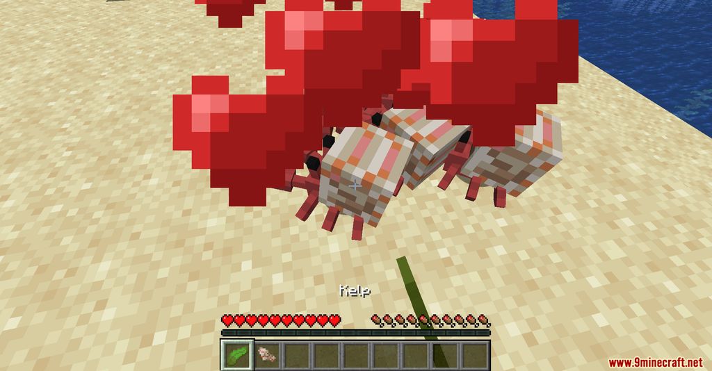 Cute Hermit Crabs Mod (1.19.2, 1.18.2) - Marine Crustacean 5