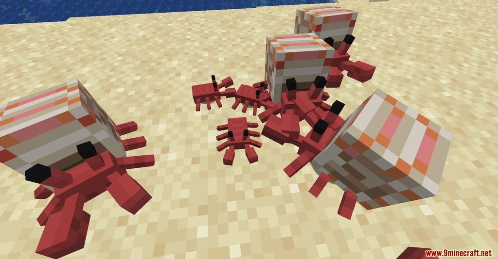 Cute Hermit Crabs Mod (1.19.2, 1.18.2) - Marine Crustacean 6