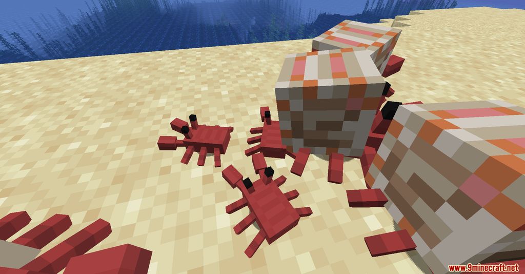 Cute Hermit Crabs Mod (1.19.2, 1.18.2) - Marine Crustacean 8