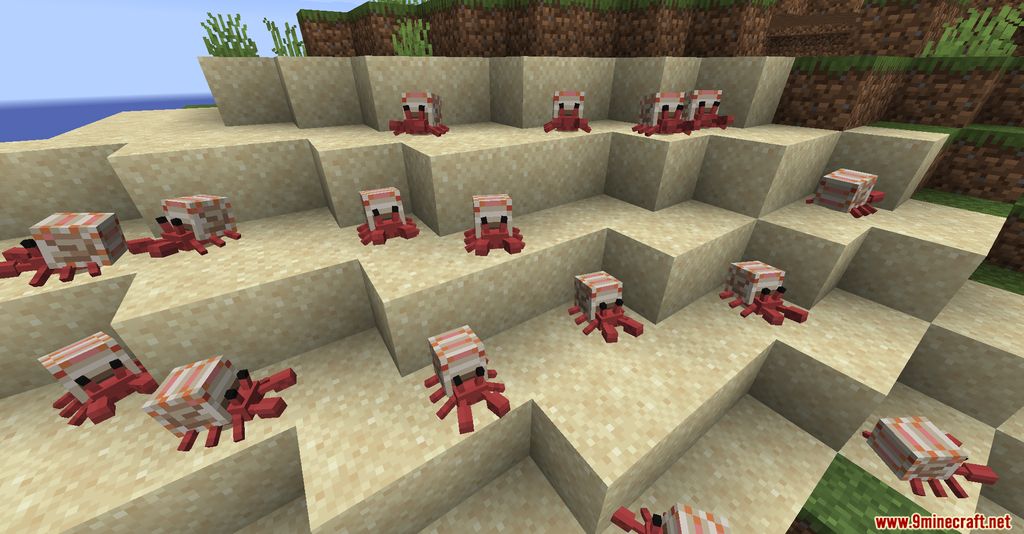 Cute Hermit Crabs Mod (1.19.2, 1.18.2) - Marine Crustacean 9