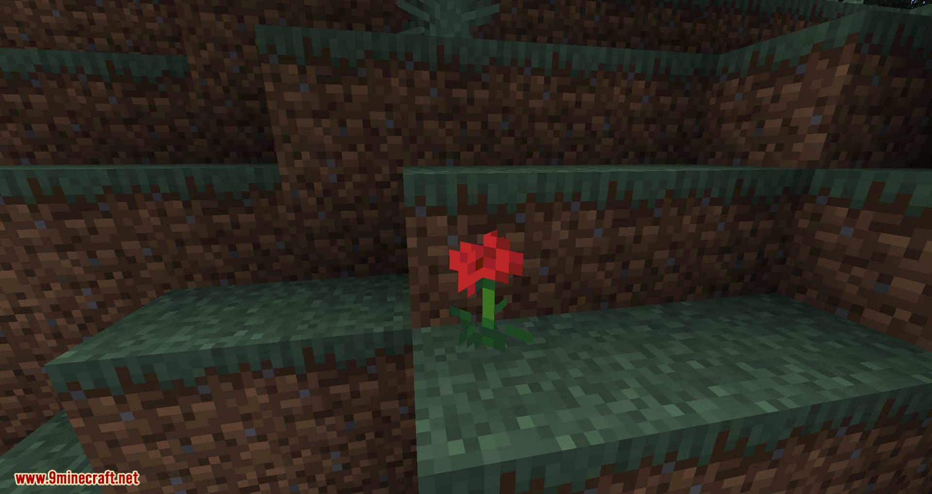 Flora Doubling Mod 1.16.4, 1.15.2 (Double Your Flowers) 3