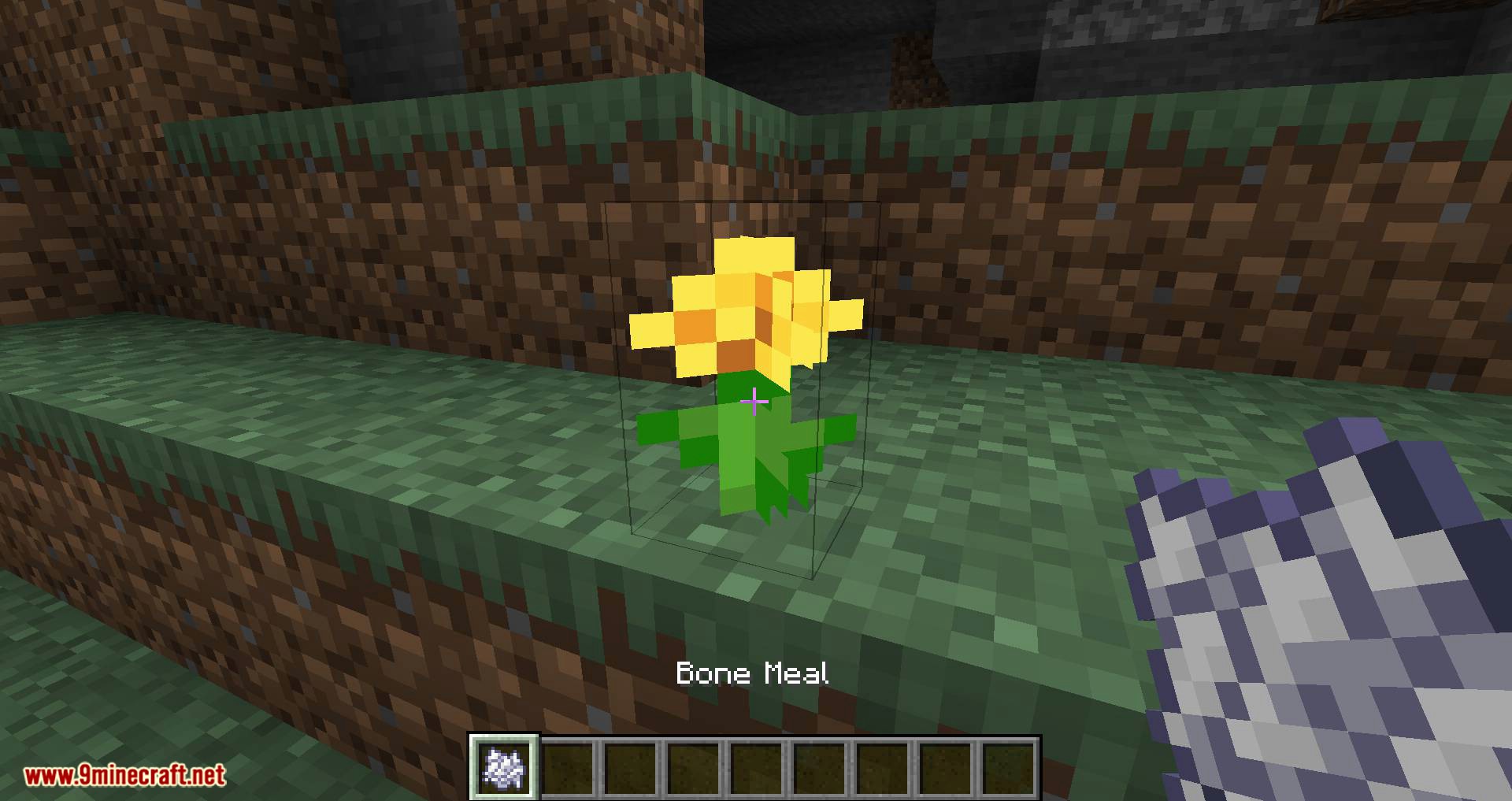 Flora Doubling Mod 1.16.4, 1.15.2 (Double Your Flowers) 5