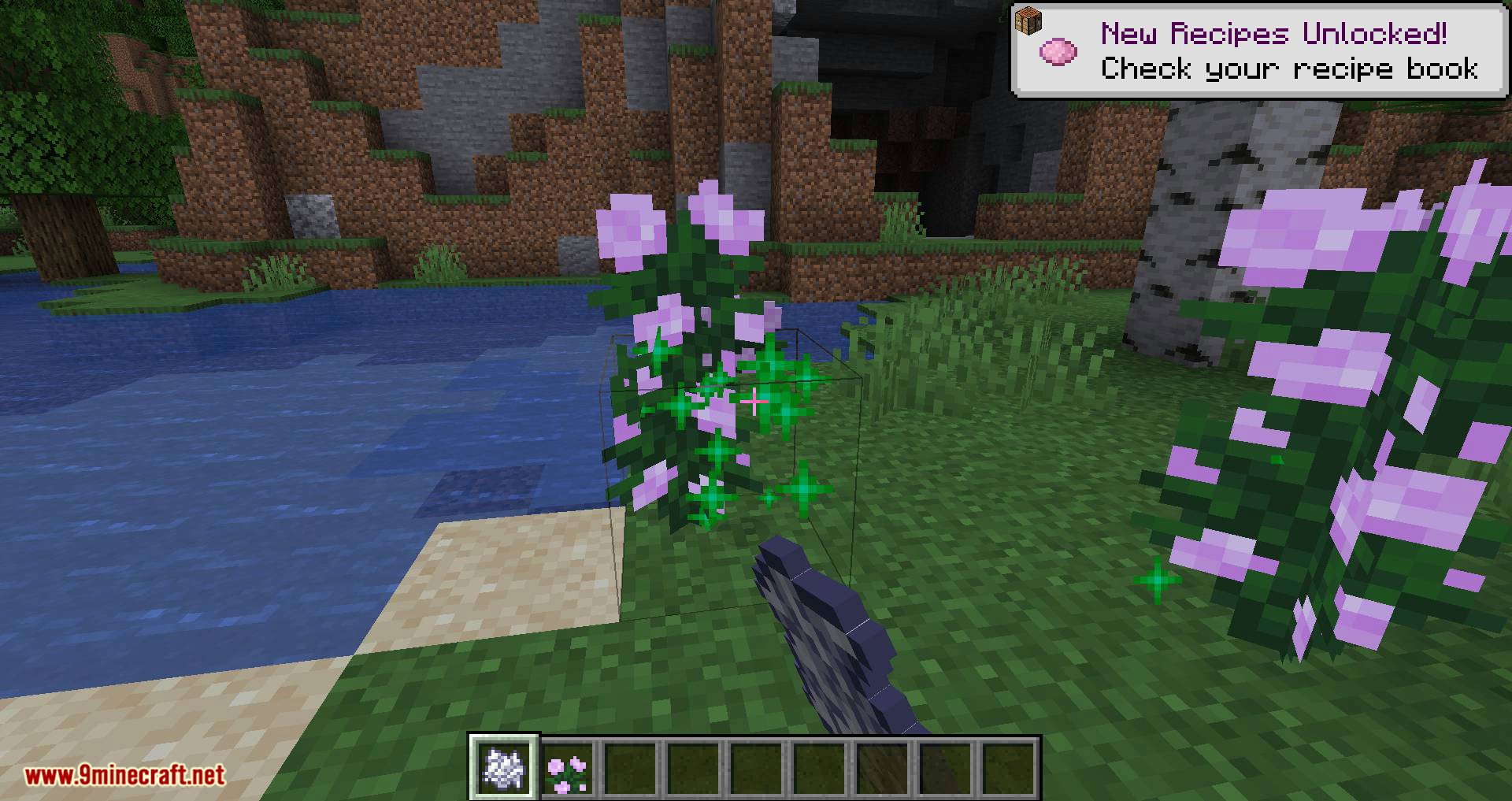 Flora Doubling Mod 1.16.4, 1.15.2 (Double Your Flowers) 8