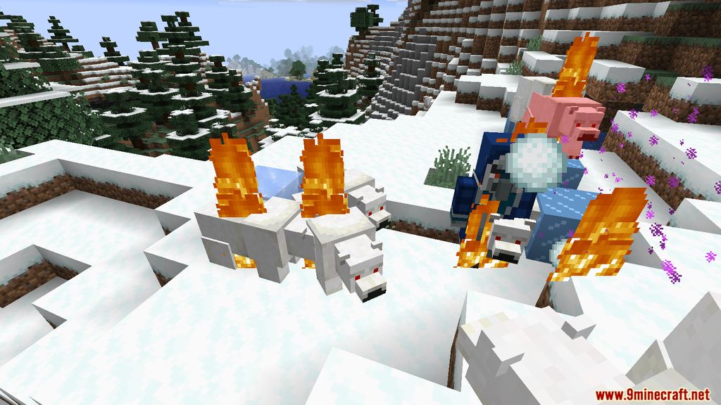 Iceologer Mod 1.15.2 (Vindicator Ice Wizard) 9