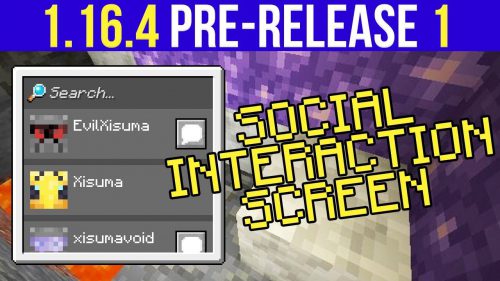 Minecraft 1.16.4 Pre-Release 1 (Social Interaction Screen) Thumbnail