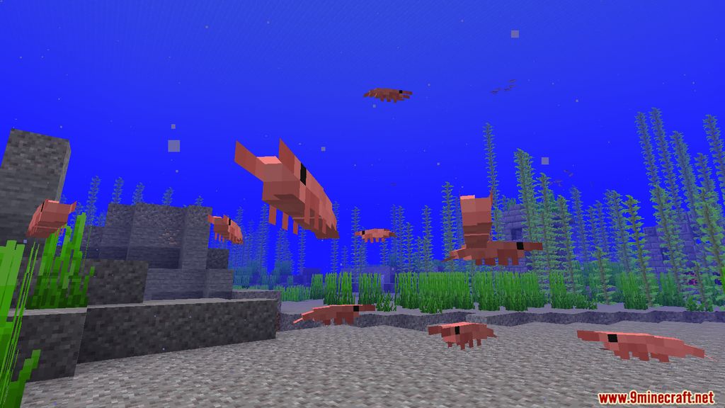 Oh Cant You Sea Mod 1.15.2 (Marine Life) 7