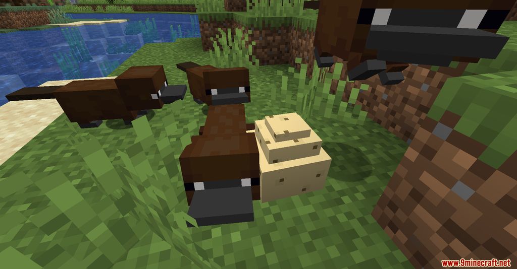 Platypus Mod (1.19.2, 1.16.5) - Agent P and Friends 10