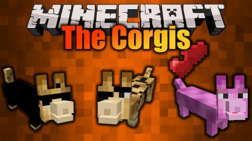 The Corgis Mod (1.19.3, 1.16.5) – Friendly Entity, Corgies Thumbnail