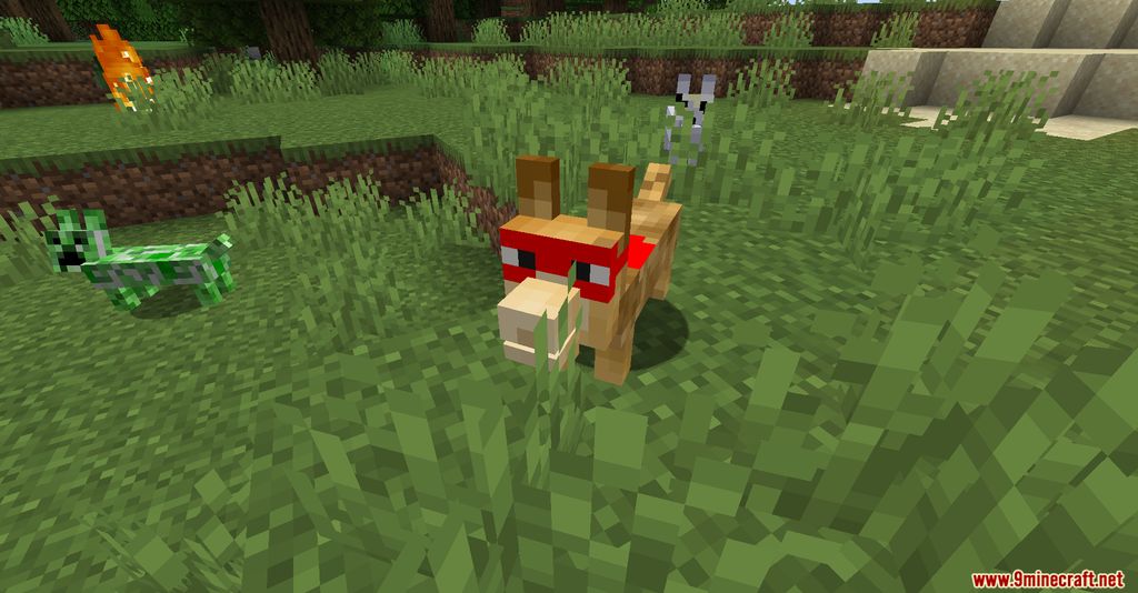 The Corgis Mod (1.19.3, 1.16.5) - Friendly Entity, Corgies 2