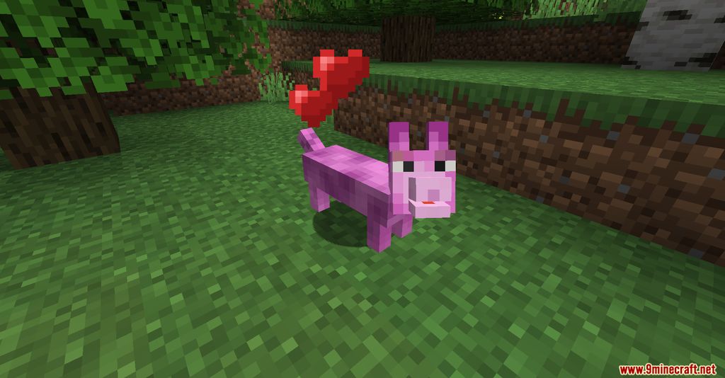 The Corgis Mod (1.19.3, 1.16.5) - Friendly Entity, Corgies 11