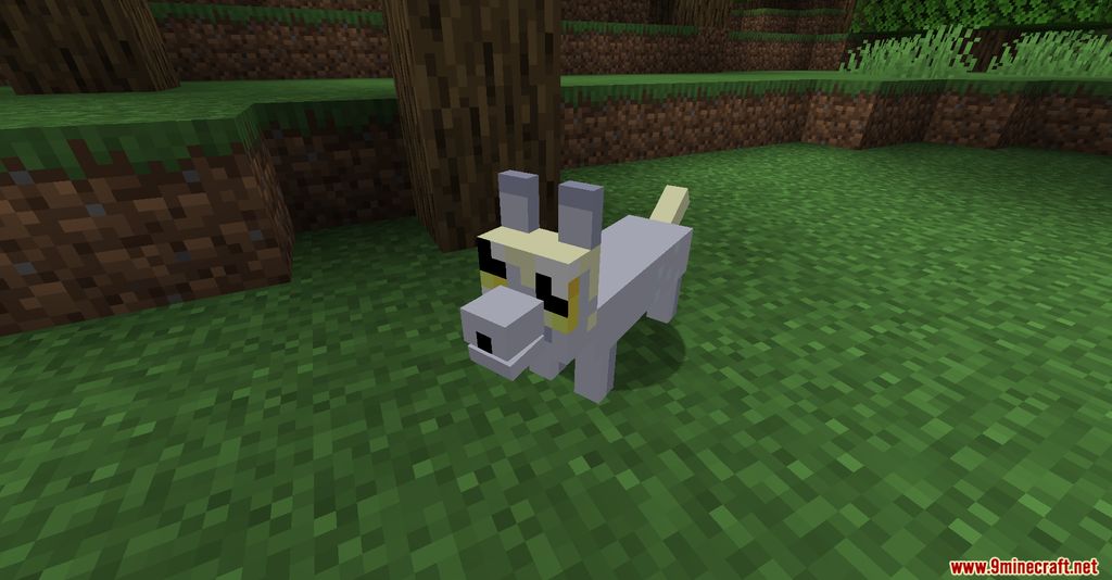 The Corgis Mod (1.19.3, 1.16.5) - Friendly Entity, Corgies 5