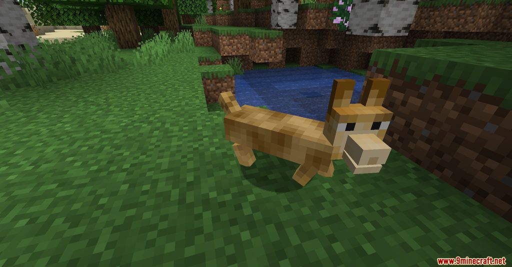 The Corgis Mod (1.19.3, 1.16.5) - Friendly Entity, Corgies 7