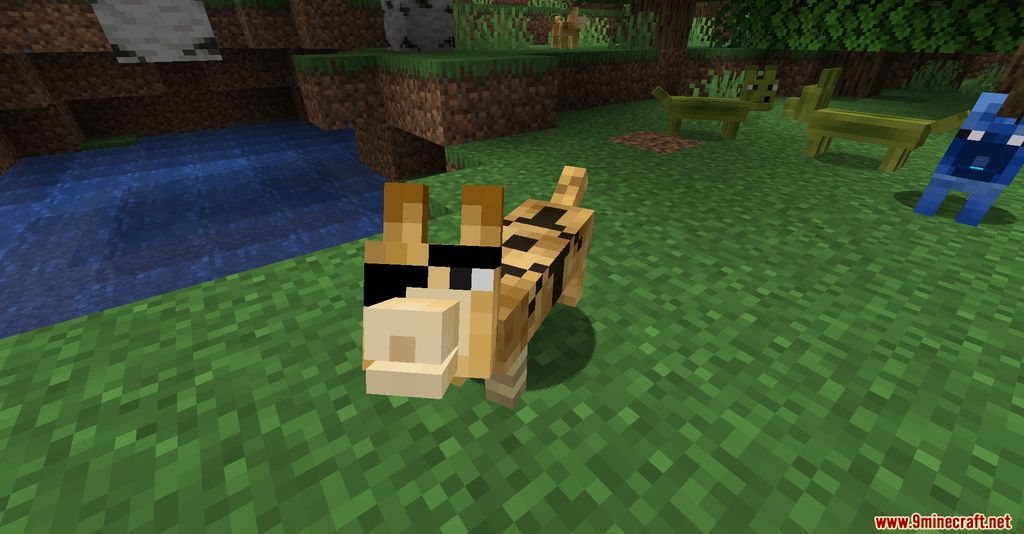 The Corgis Mod (1.19.3, 1.16.5) - Friendly Entity, Corgies 9