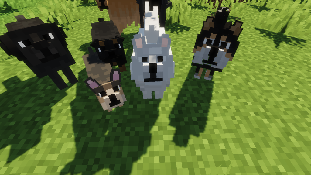 Better Dogs Resource Pack (1.20.4, 1.19.4) - Texture Pack 6