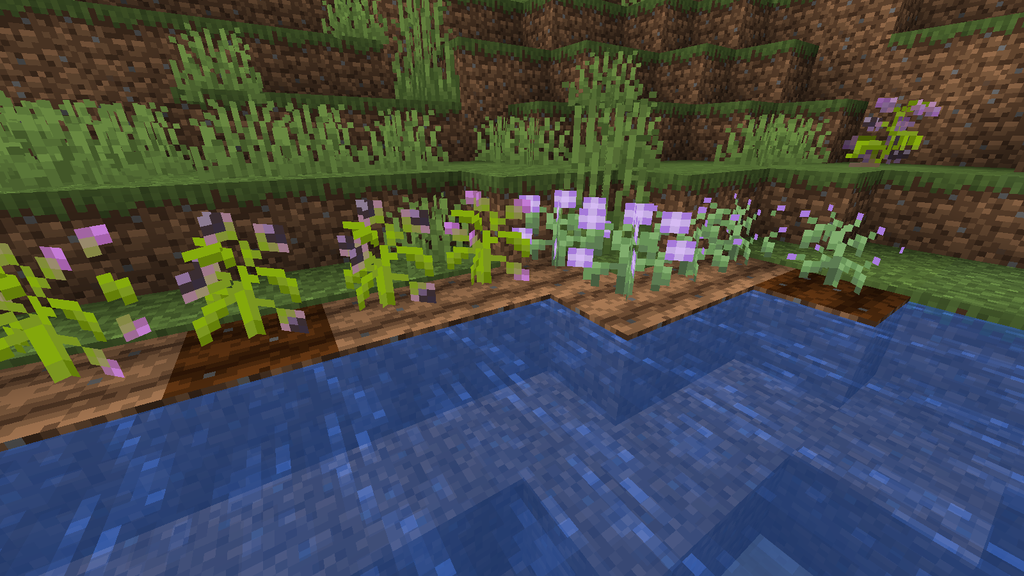 Meds and Herbs Mod (1.20.1, 1.19.4) - Medicine, Healing, Poison 13