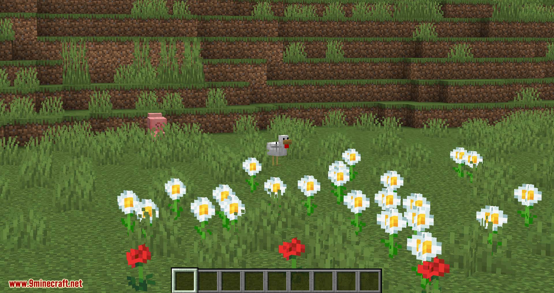 Ok Zoomer Mod (1.20.1, 1.19.4) - Better Zooming 4