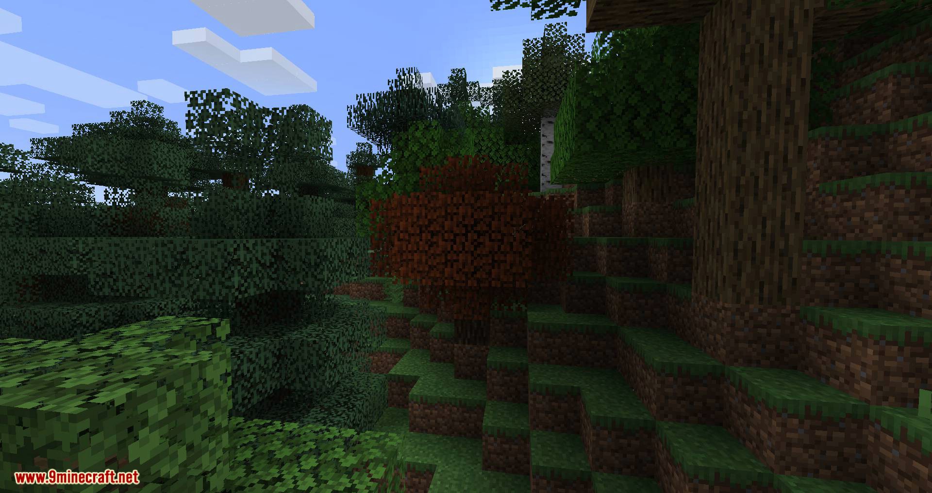 Premium Wood Mod (1.20.4, 1.19.4) - Better Looking Woods 10