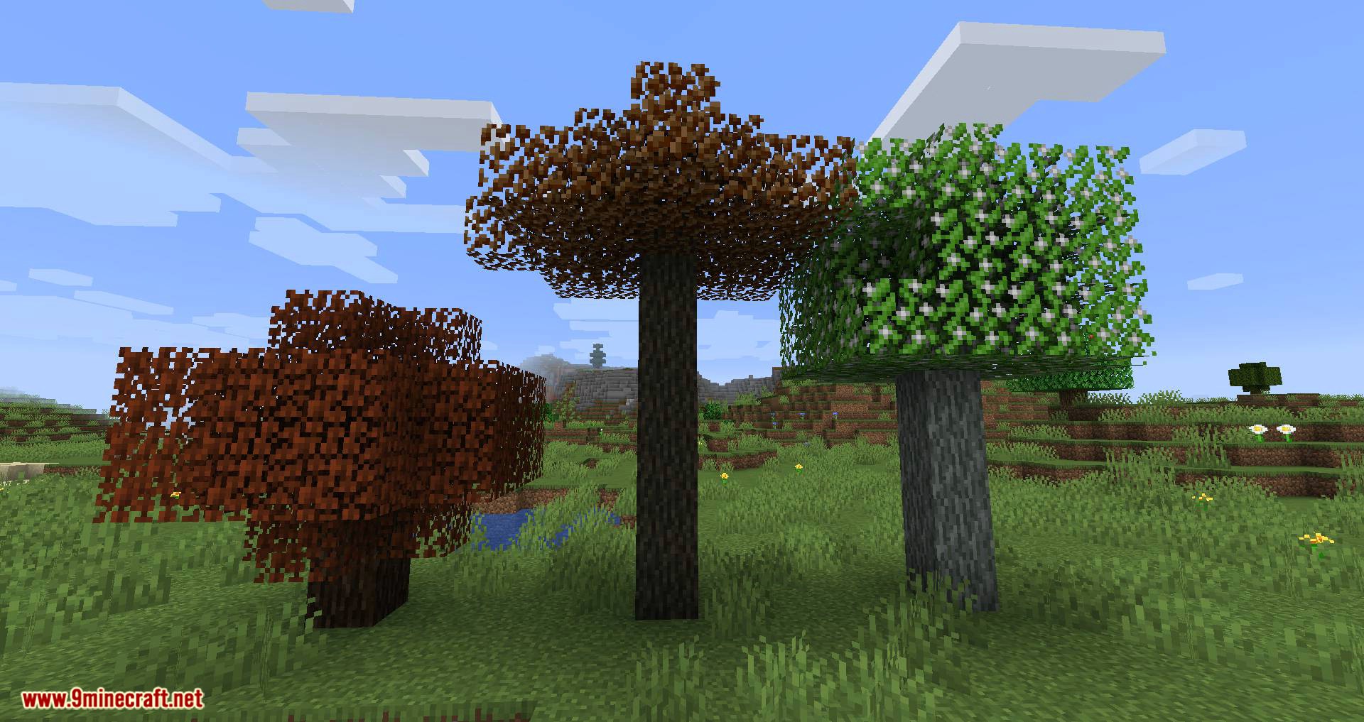 Premium Wood Mod (1.20.4, 1.19.4) - Better Looking Woods 16