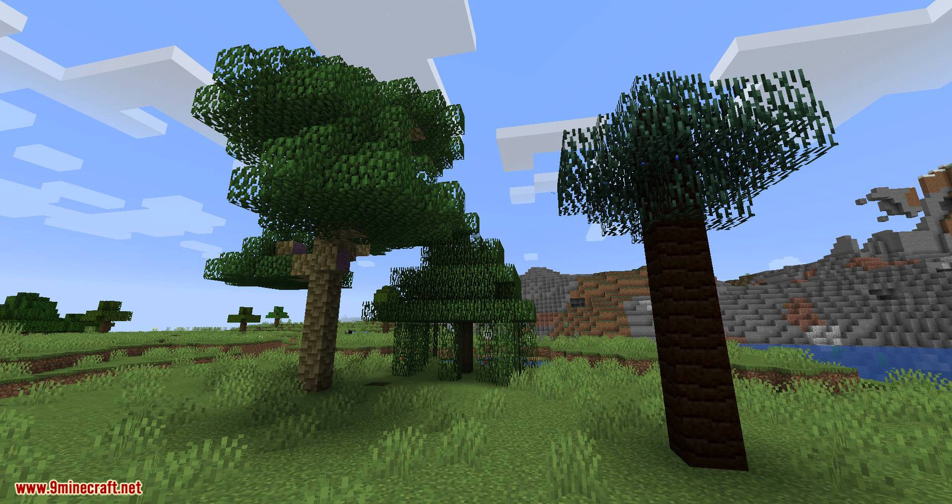 Premium Wood Mod (1.20.4, 1.19.4) - Better Looking Woods 18