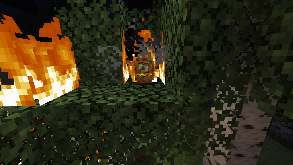 Wildfires Mod 1.16.4 (Fire Entitiy, Embodiment) 10