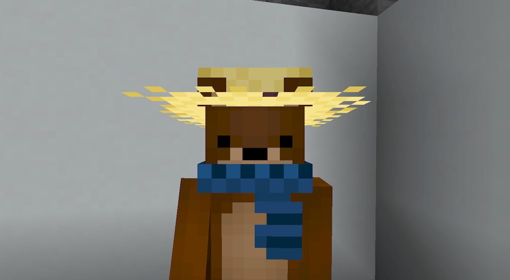 Costumemes Mod 1.12.2 (Headgear, Mobs) 12