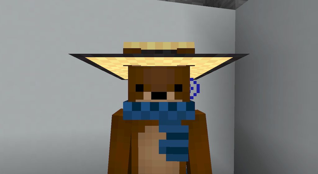 Costumemes Mod 1.12.2 (Headgear, Mobs) 10