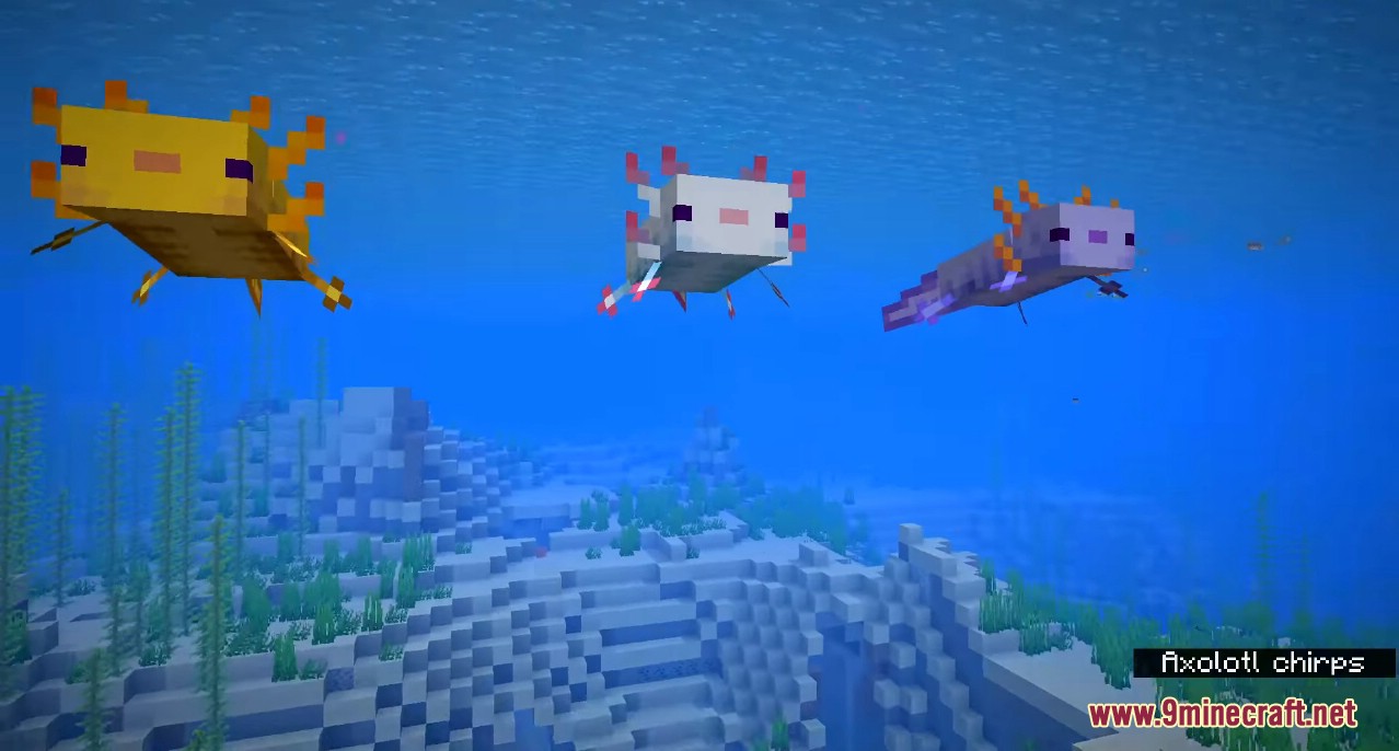 Minecraft 1.17 Snapshot 20w51a (Axolotls are The Cutest Mobs Ever) 3