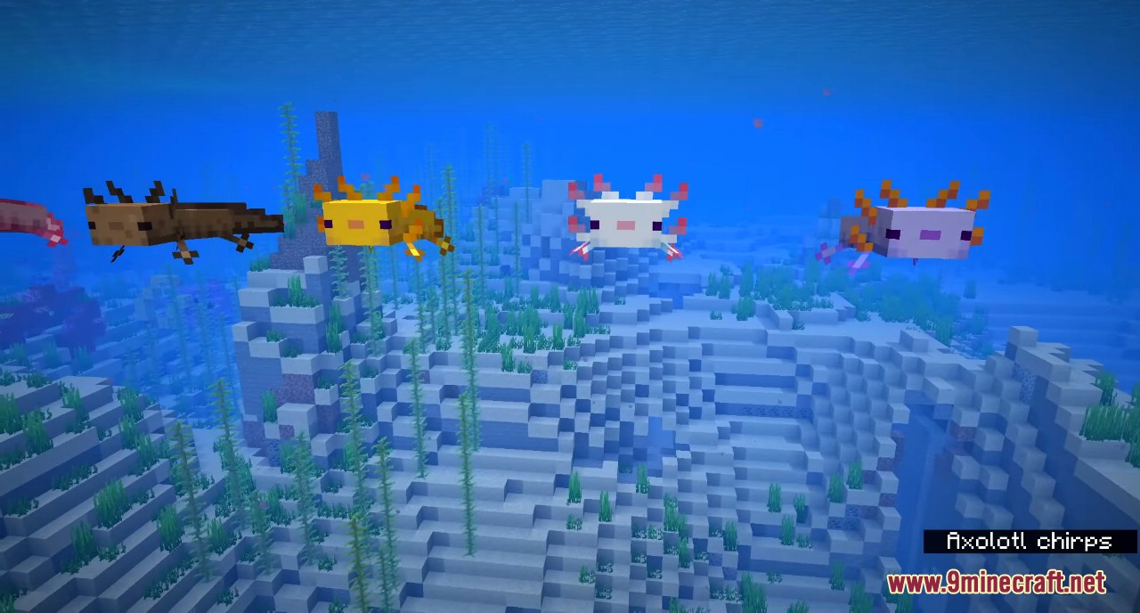 Minecraft 1.17 Snapshot 20w51a (Axolotls are The Cutest Mobs Ever) 4