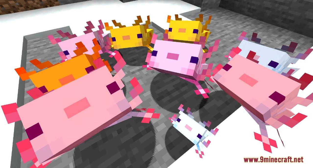 Minecraft 1.17 Snapshot 20w51a (Axolotls are The Cutest Mobs Ever) 9