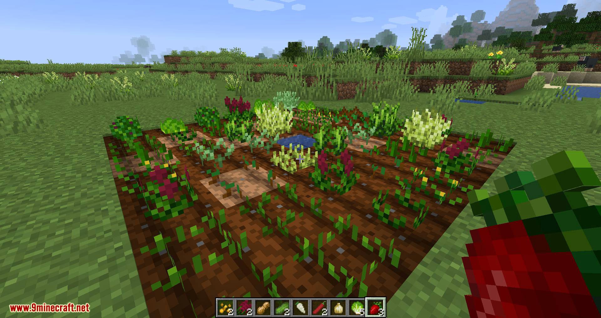 Pam's HarvestCraft 2 - Crops Mod (1.20.1, 1.19.2) - Many New Crops 5