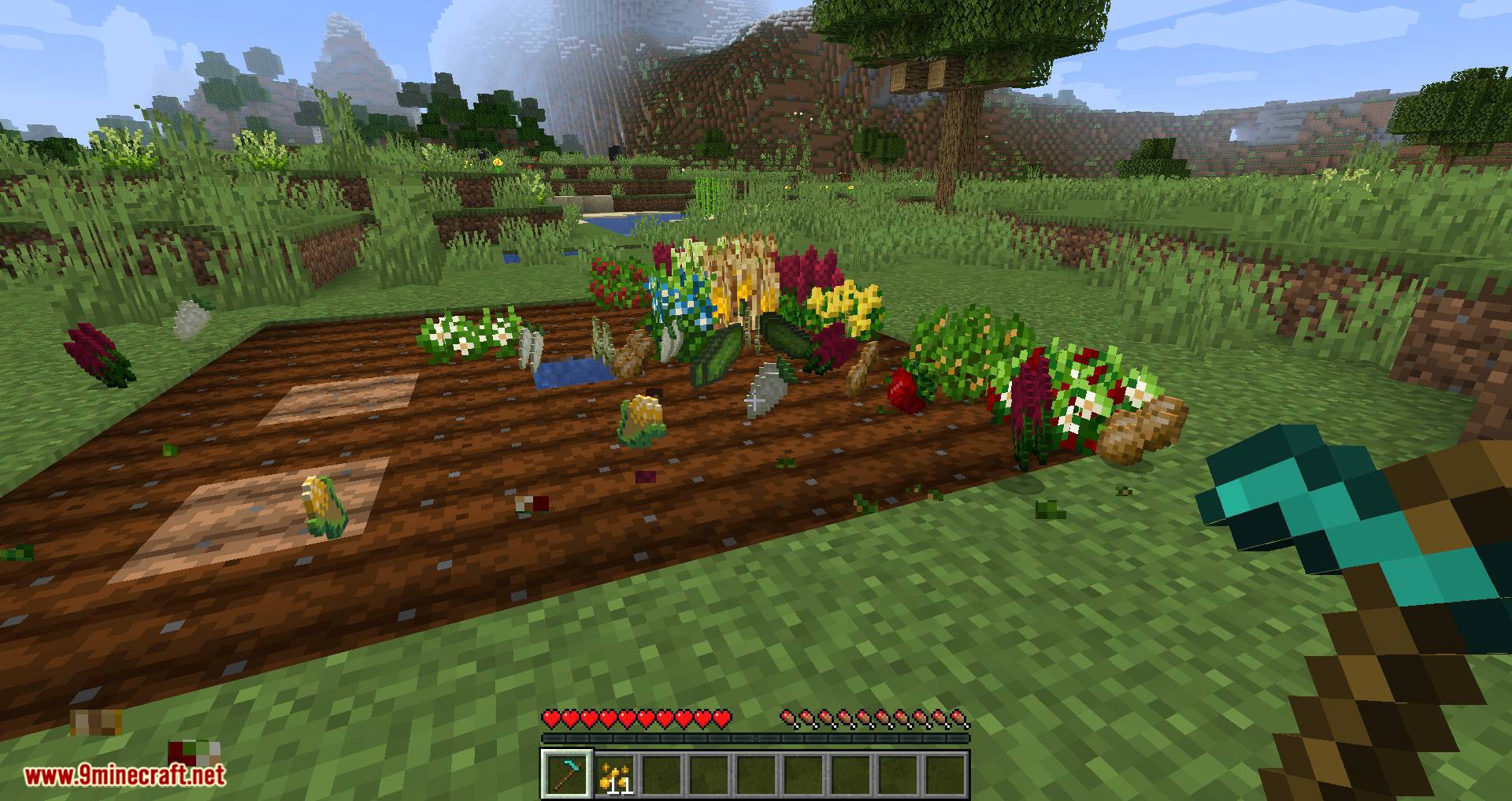 Pam's HarvestCraft 2 - Crops Mod (1.20.1, 1.19.2) - Many New Crops 8