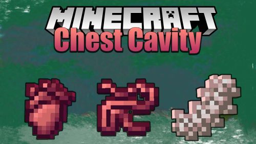 Chest Cavity Mod (1.19.2, 1.18.2) – Organs, Modification Thumbnail