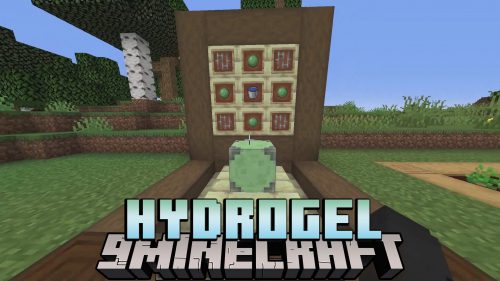 HydroGel Mod 1.16.5, 1.12.2 (Solid Block to Hydrate Farmland) Thumbnail