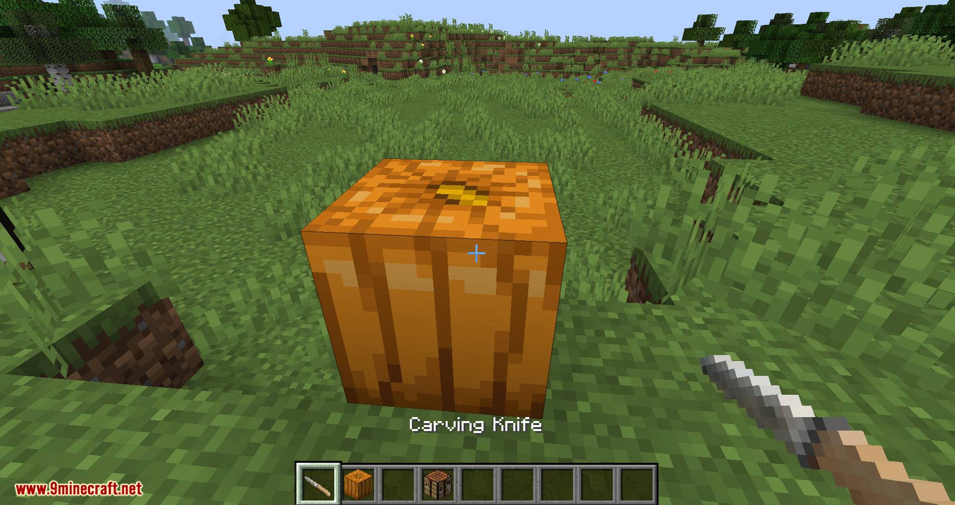 Ignis Fatuus Mod 1.16.5, 1.16.4 (Jack-o'-lantern, Will-o'-the-Wisp) 4