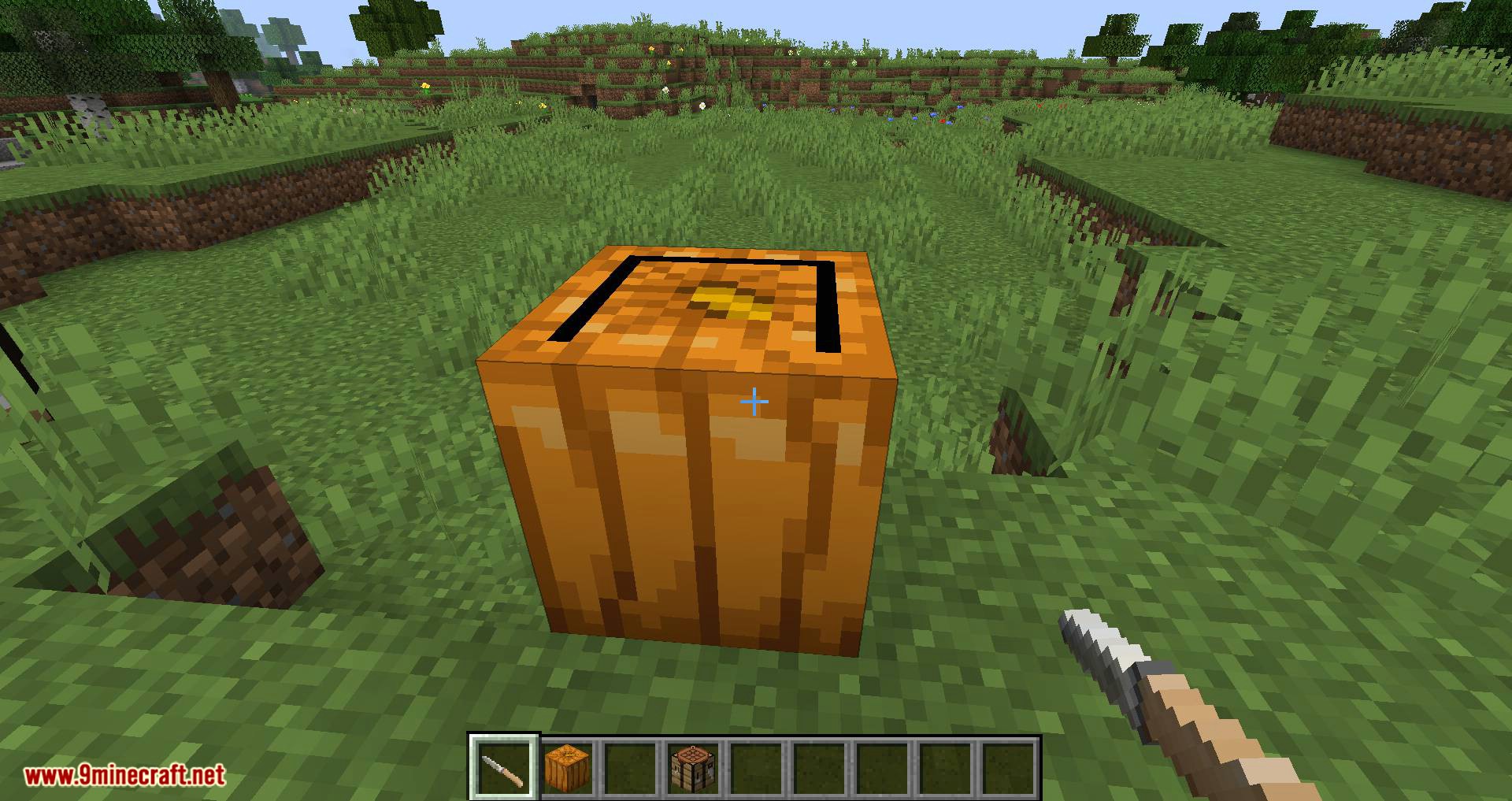 Ignis Fatuus Mod 1.16.5, 1.16.4 (Jack-o'-lantern, Will-o'-the-Wisp) 5