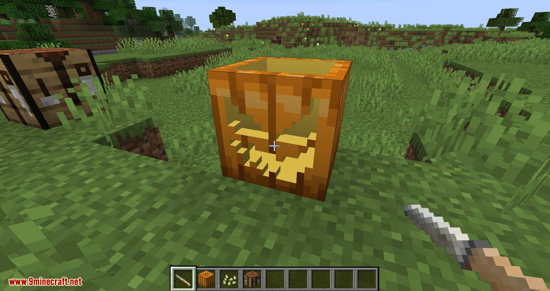 Ignis Fatuus Mod 1.16.5, 1.16.4 (Jack-o'-lantern, Will-o'-the-Wisp) 8