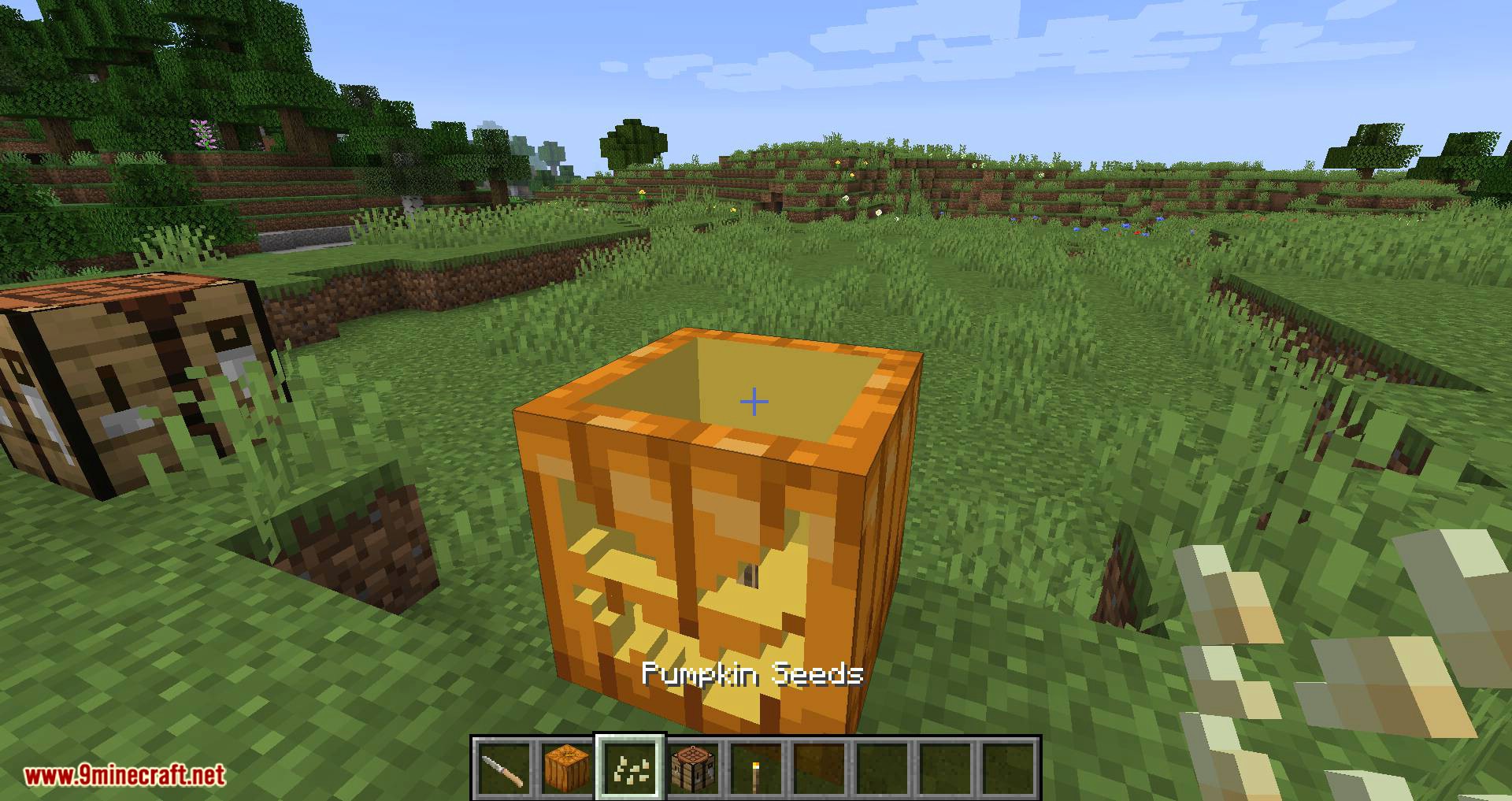 Ignis Fatuus Mod 1.16.5, 1.16.4 (Jack-o'-lantern, Will-o'-the-Wisp) 10